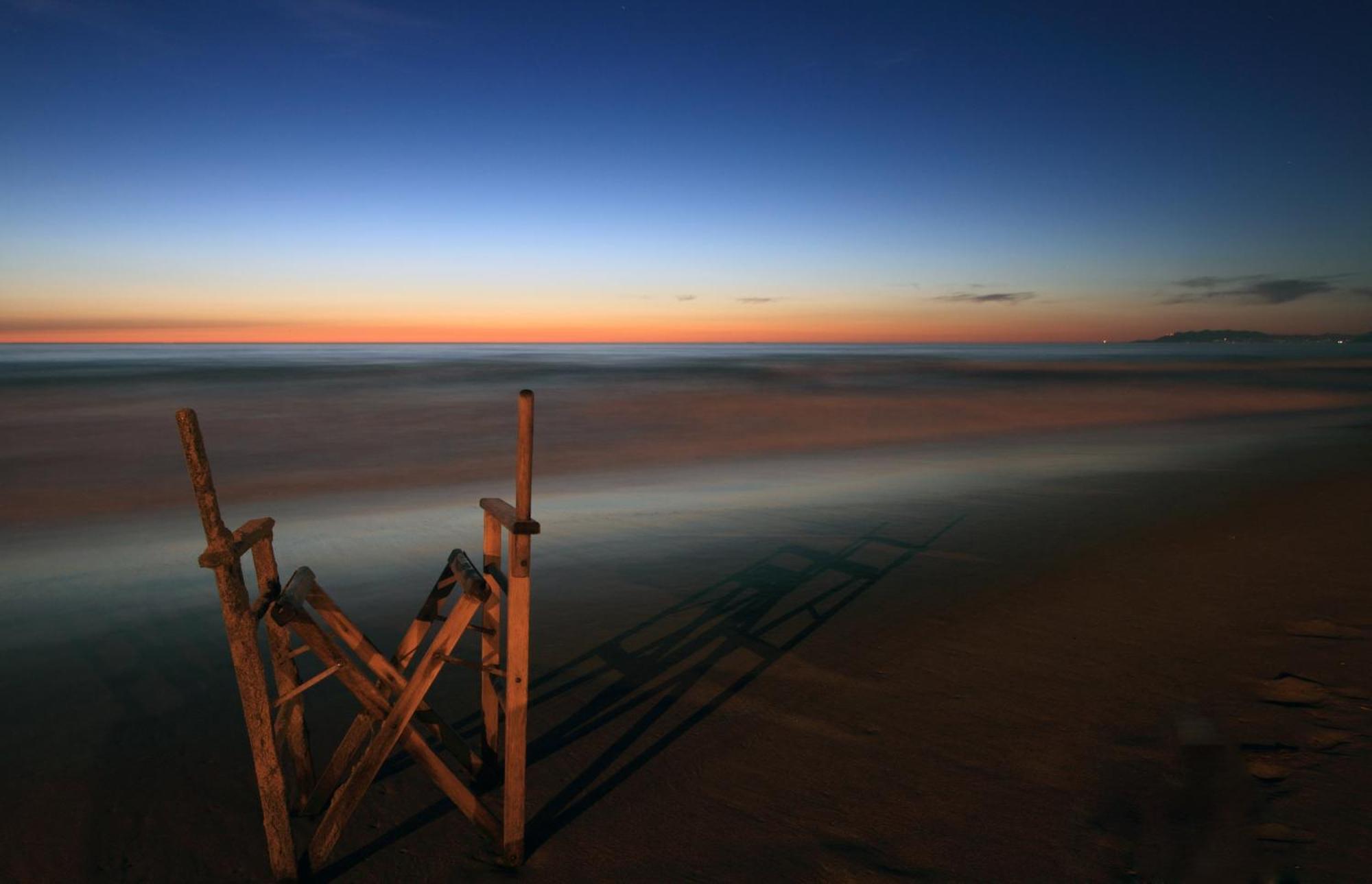 Ely Viareggio