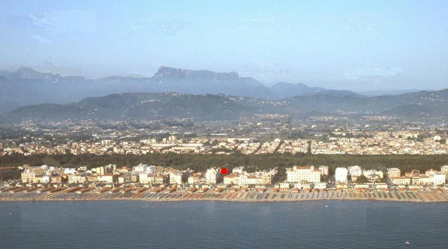 Ely Viareggio
